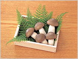 Honshimeji mushrooms