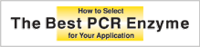 PCR enzyme